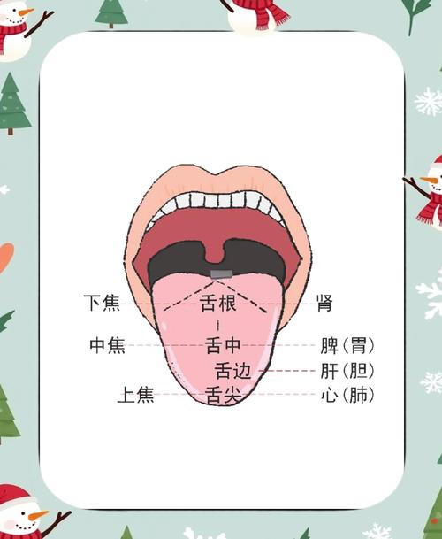 澳门天天好挂牌正版和舌根和牙龈被缝一起与舌根和牙龈被缝一起怎么办