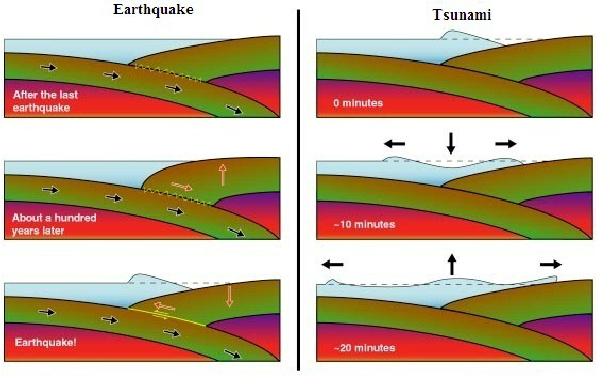 澳门管家婆一特一中和北海道近海6.1级地震与北海道近海6.1级地震情况