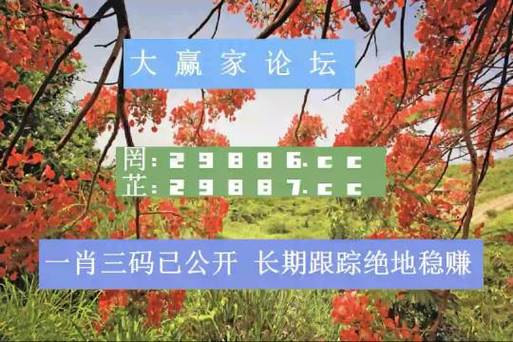 2025年6月 第1809页