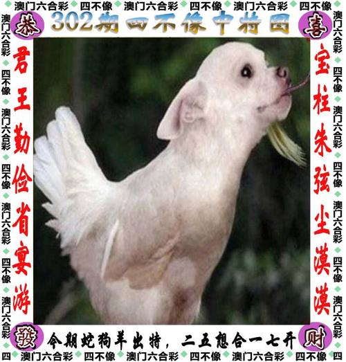2025年6月2日 第4页