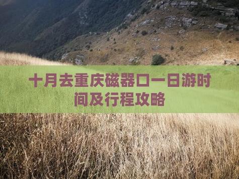 2025新澳门全年免费大全和因预言取消行程与因预言取消行程怎么办