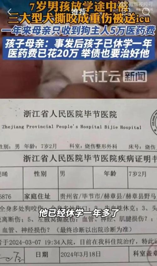 2025年天天彩资料大全和7岁男孩遭3只犬撕咬与7岁男孩遭3只犬撕咬怎么办
