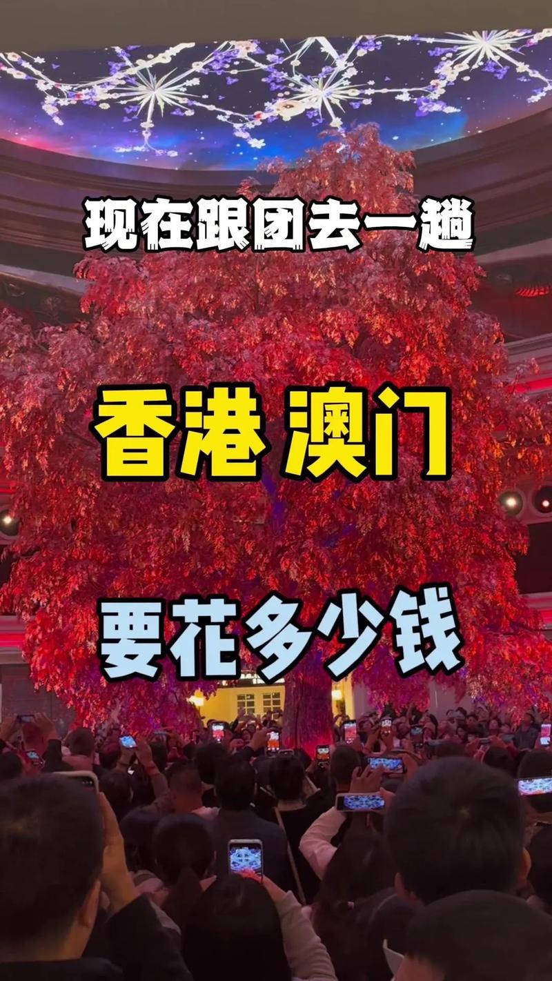 2025澳门天天开奖大全和台旅行团被卖到缅甸与旅行团 台湾