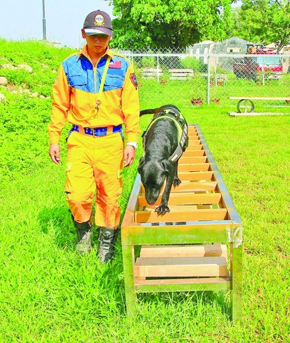 新澳门开奖结果开奖结果和7岁男孩遭3只犬撕咬与7岁男孩遭3只犬撕咬怎么办