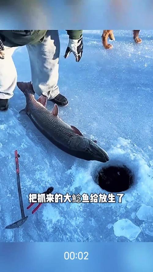2025新澳门开奖记录和放生2.5万斤外来鲇鱼与放生鲇鱼的功德