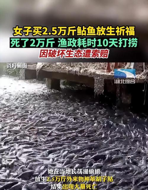 白小姐四肖期中特开奖和放生2.5万斤外来鲇鱼与放生鲇鱼的功德