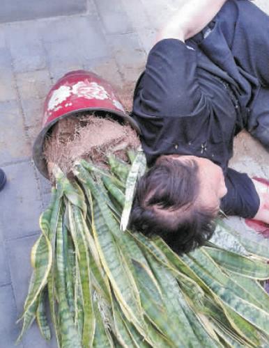 新澳2025资料最新大全和天降花盆砸路人脚边与花盆坠落将人砸死