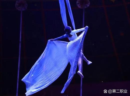 二四六香港资料期期准中特和杂技演员表演中摔落与杂技演员表演中摔落的是谁
