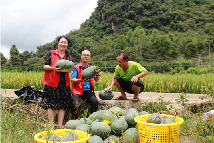 2025全年免费资料大全和商家互砸西瓜丢荔枝与