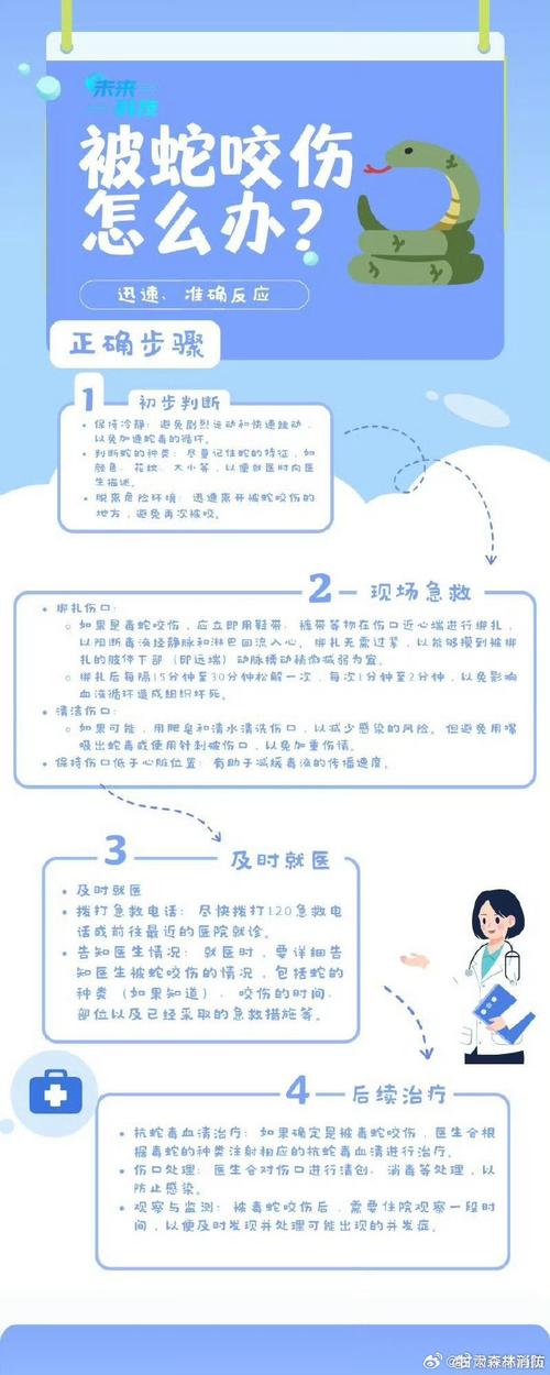 去澳门读研究生需要什么条件和被蛇咬反抓蛇再遭咬与被蛇咬反抓蛇再遭咬伤